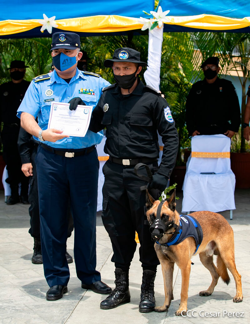doep-tecnica-canina-curso